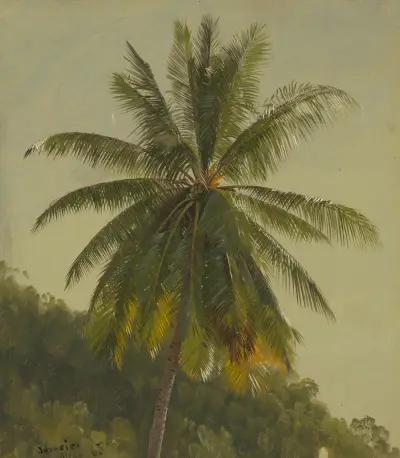Palmträd, Västindien av Frederic Edwin Church