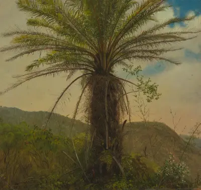 Trädormbunke, Jamaica av Frederic Edwin Church