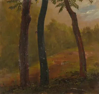Lesní scenérie, Jamajka, Frederic Edwin Church
