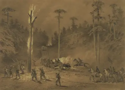 A night march. The army going into action through the woods av Edwin Forbes