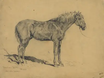 En gammal soldat av Edwin Forbes