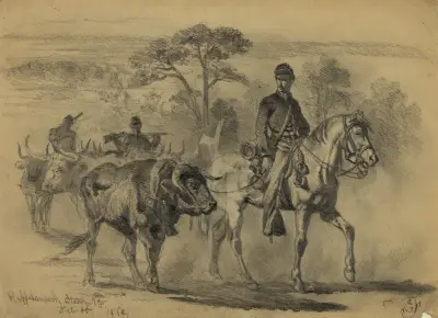 Rindfleisch für die Armee – auf dem Marsch von Edwin Forbes