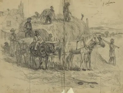 Foraging for hay outside of the lines in Virginia av Edwin Forbes