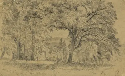 Gum Spring, Va. von Edwin Forbes