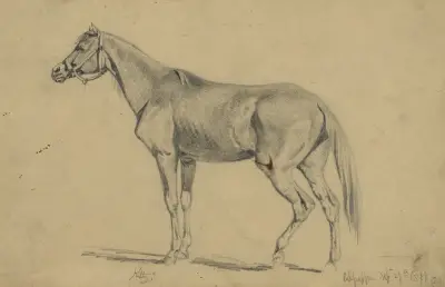 Kitty. Edwin Forbe’s mare that he rode from 1862-1865 av Edwin Forbes