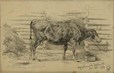 The headquarter cow av Edwin Forbes