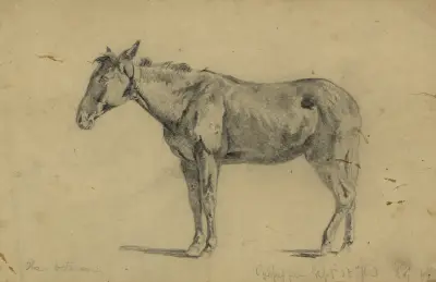 The veteran av Edwin Forbes