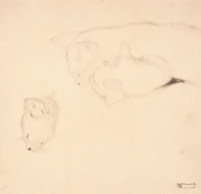 Cats. Studies av Egon Schiele