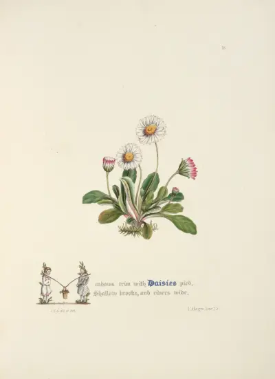 Daisies av Jane Elizabeth Giraud