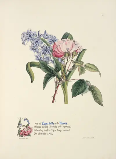 Hyacinth and rose av Jane Elizabeth Giraud