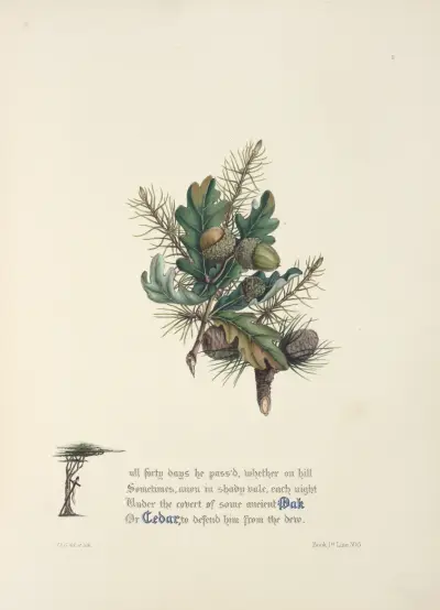 Oak and cedar av Jane Elizabeth Giraud