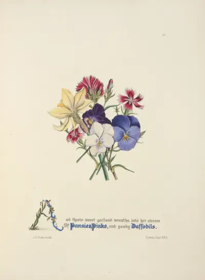 Pansies, pinks and daffodils av Jane Elizabeth Giraud