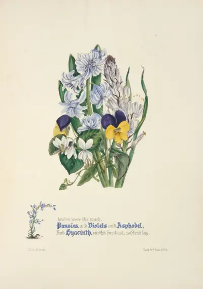 Pansies, violets, asphodel and hyacinth av Jane Elizabeth Giraud