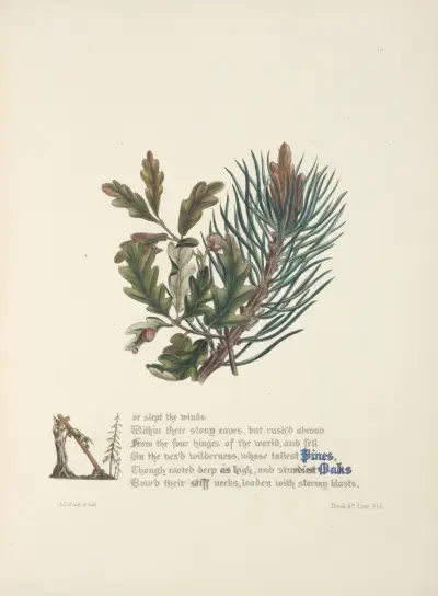 Pines and oaks av Jane Elizabeth Giraud