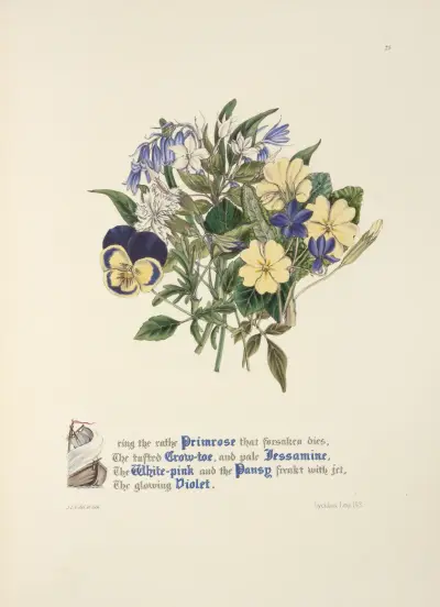 Primrose, Grow-toe,Jessamine. White-pink, Pansy and Violet av Jane Elizabeth Giraud