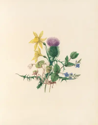 The fête of the flowers Pl.02 av Jane Elizabeth Giraud