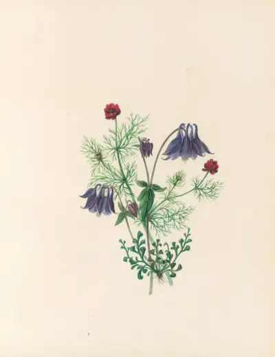 The fête of the flowers Pl.05 av Jane Elizabeth Giraud