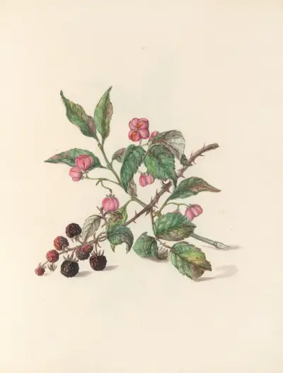 The fête of the flowers Pl.14 av Jane Elizabeth Giraud