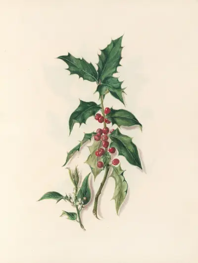 The fête of the flowers Pl.15 av Jane Elizabeth Giraud