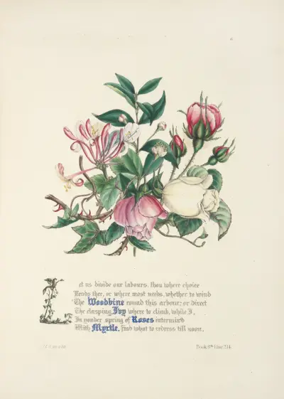 Woodbine, ivy, roses and myrtle av Jane Elizabeth Giraud