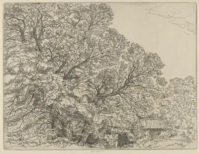 Alna Willows av Ernest Haskell