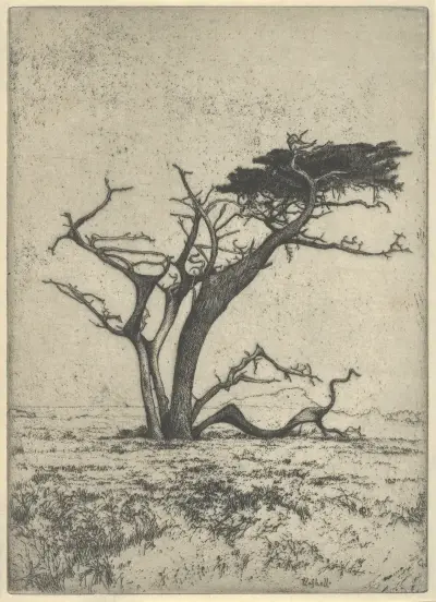 Antlers av Ernest Haskell