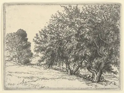 Äppelträd av Ernest Haskell