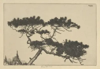 Crippled Pine av Ernest Haskell