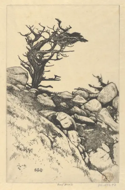 Cypresser och klippor av Ernest Haskell