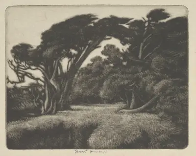 Cypress Bower av Ernest Haskell