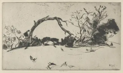 Cypress Study No. 1 av Ernest Haskell