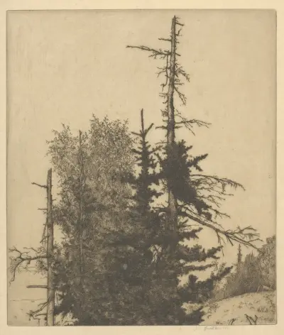 Mrtvé vrcholy, Ernest Haskell