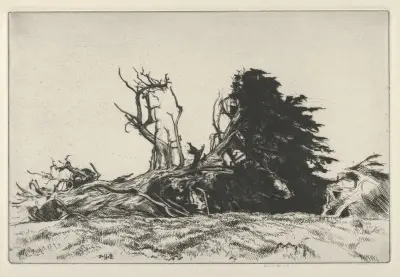 Fallen Centuries av Ernest Haskell