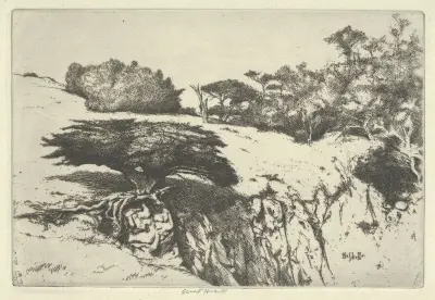 Fläktbusken och hennes kanjon av Ernest Haskell