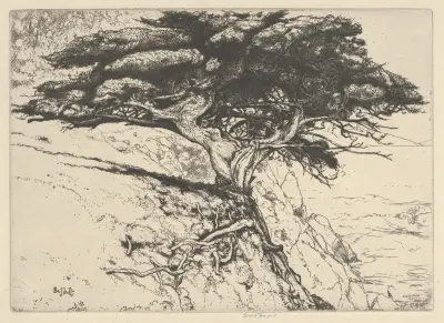 Vějířový strom, 1920, Ernest Haskell