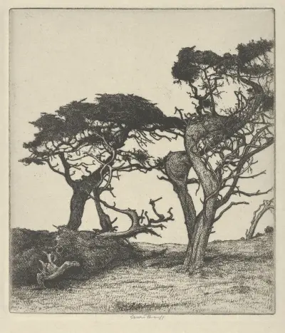 Fragments of the Ostrich av Ernest Haskell