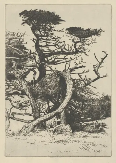 Line of Beauty av Ernest Haskell