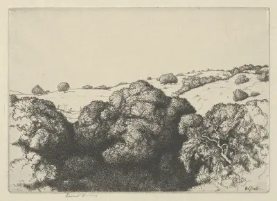 Live Oak Shadows av Ernest Haskell