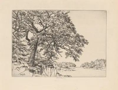 Marin’s Oak av Ernest Haskell