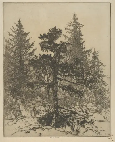 Mossbruden av Ernest Haskell