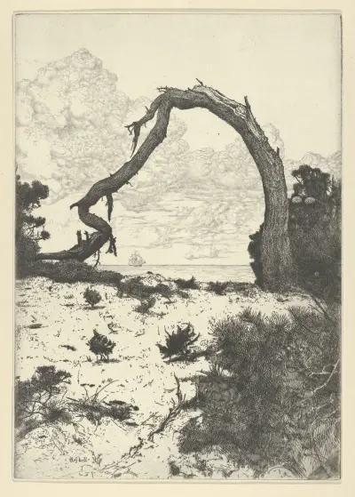 Pine Arch av Ernest Haskell