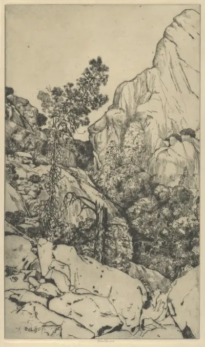 Pines and Pinnacles av Ernest Haskell