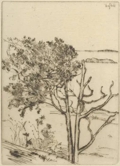 Ragged Tree – Maine av Ernest Haskell