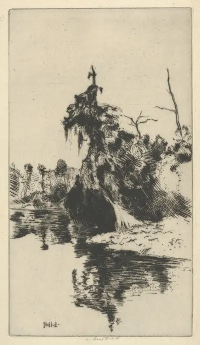 Secret of the Seminole av Ernest Haskell