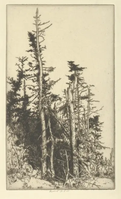 Skeletons av Ernest Haskell