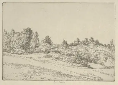 Small Point Field av Ernest Haskell