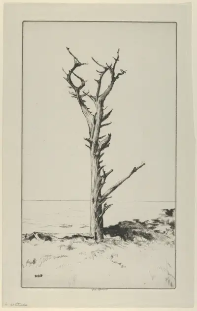 Ensamhet av Ernest Haskell