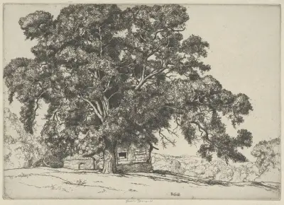 Eken och adobehuset av Ernest Haskell