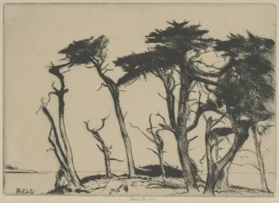 The Rhythm of the Cypress av Ernest Haskell