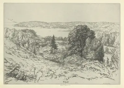 The Sylvan Sea av Ernest Haskell